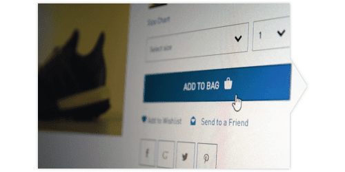 Ecommerce Web Development