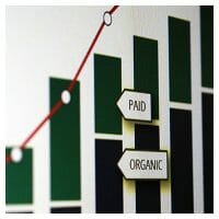 SEO - Paid vs Organic Traffic