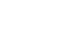 Performance Gear Systems Logo
