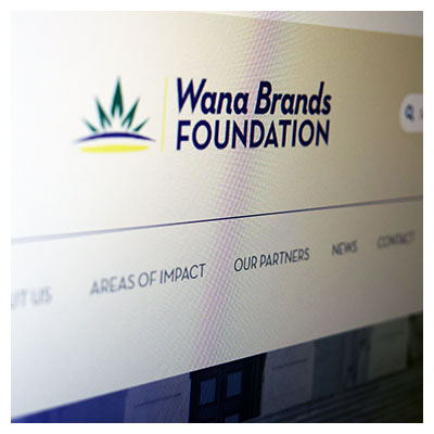 Website Launch: Wana Brands Foundation